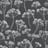 Bild von 